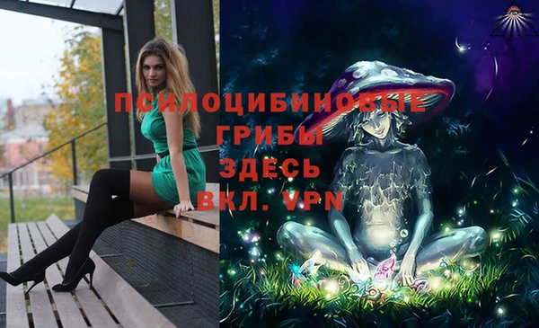 соль курить ск Вязьма