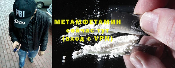 ГАЛЛЮЦИНОГЕННЫЕ ГРИБЫ Заволжье