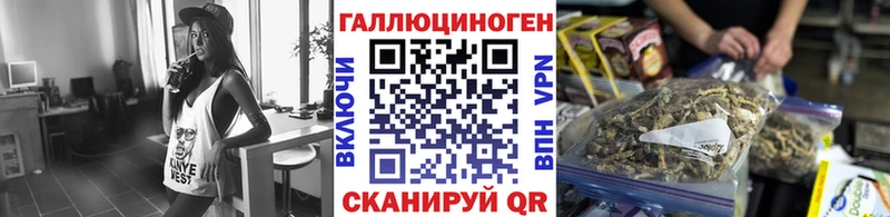 сайты даркнета телеграм  Зверево  Псилоцибиновые грибы Psilocybe 